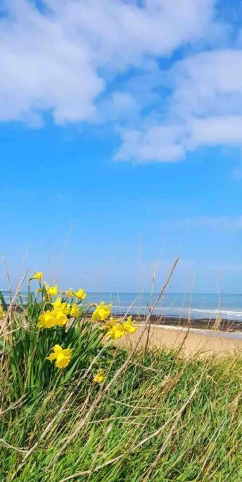 Apartment - 2 Minutes From